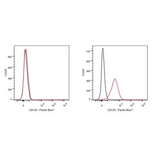 Pacific Blue Rat Anti-Mouse CD105 Antibody (S-R529)