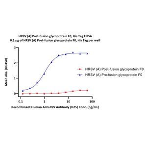 HRSV (A) Post-fusion glycoprotein F0