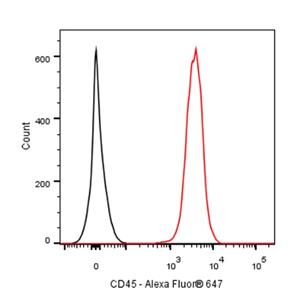 Alexa Fluor 647 Mouse Anti-Rat CD45 Antibody (S-R591)
