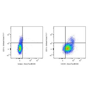 Mouse Anti-Human CD205 Antibody (S-3023)
