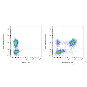 APC Mouse Anti-Human CD28 Antibody (S-R495)