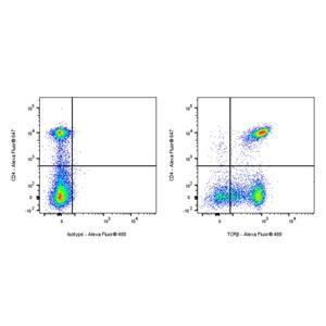 Alexa Fluor 488 Armenian hamster Anti-Mouse TCR β Antibody (S-R616)