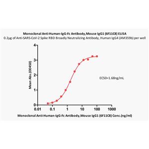 Monoclonal Anti-Human-IgG-Fc Antibody