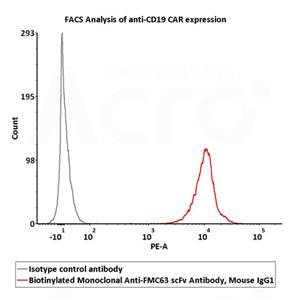 Monoclonal Anti-FMC63 Antibody