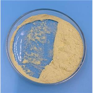 Sodium Ferrous Citrate