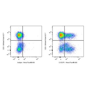 Rat Anti-Human CX3CR1 Antibody (S-3020)