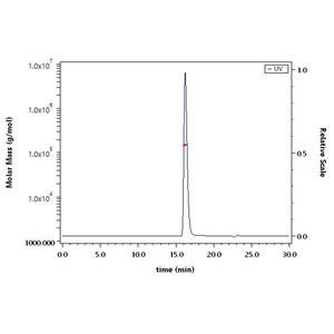 Monoclonal Anti-Human-IgG-Fc Antibody
