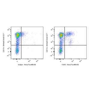 Human Anti-Mouse F4/80 Antibody (S-3458)