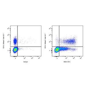 Biotin Mouse Anti-Human CD1c Antibody (S-2841)