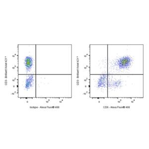 Mouse Anti-Human CD6 Antibody (S-3174)