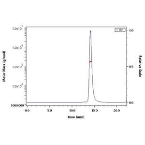 HRSV (A) Post-fusion glycoprotein F0