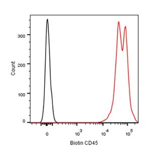 Biotin Mouse Anti-Rat CD45 Antibody (S-R591)