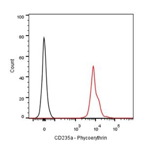 PE Mouse Anti-Human CD235a Antibody (S-R473)
