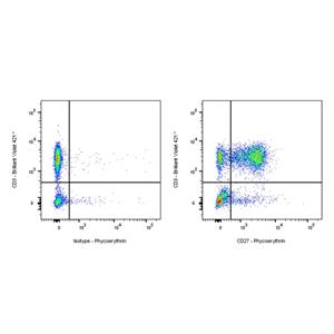 PE Armenian hamster Anti-Mouse/Rat/Human CD27 Antibody (S-R620)