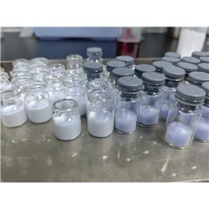 NAD+ (β-Nicotinamide Adenine Dinucleotide, Oxidized)