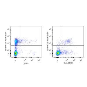 Biotin Armenian hamster Anti-Mouse CD196 Antibody (S-R621)