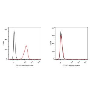 APC Mouse Anti-Human CD257 Antibody (S-3021)