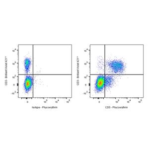 PE Rat Anti-Mouse CD5 Antibody (S-R732)