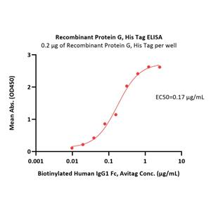 Recombinant Protein G, His Tag