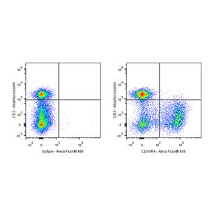 Alexa Fluor 488 Mouse Anti-Rat CD45RA Antibody (S-R629)