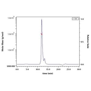 Human Carbonic Anhydrase IX / CA9 (38-414) Protein