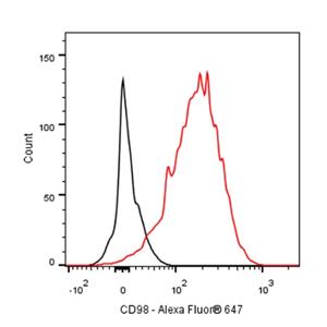 Mouse Anti-Human LAT1/CD98 complex Antibody (S-3441)