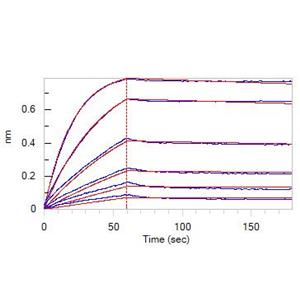 Recombinant Protein G, His Tag