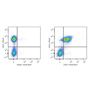 Pacific Blue Mouse Anti-Mouse CD20 Antibody (18B12)