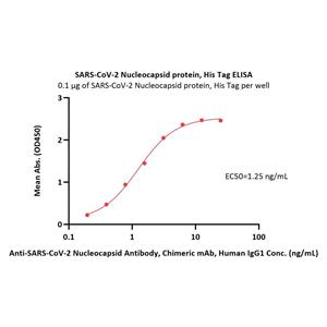 SARS-CoV-2 (COVID-19) Nucleocapsid protein