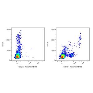 Mouse Anti-Human CD181 Antibody (S-3490)
