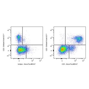 Alexa Fluor 647 Rat Anti-Mouse CD5 Antibody (S-R732)