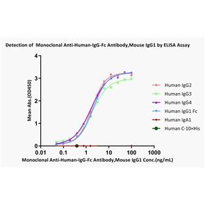 Monoclonal Anti-Human-IgG-Fc Antibody