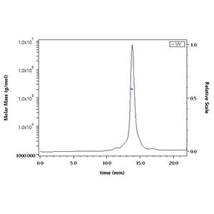 Rabies virus (strain CVS-11) Glycoprotein G
