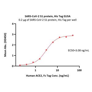 SARS-CoV-2 (COVID-19) S1 protein
