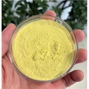 Sodium Ferrous Citrate