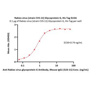Rabies virus (strain CVS-11) Glycoprotein G