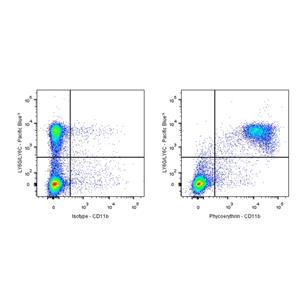 PE Rat Anti-Mouse/Human CD11b Antibody (S-R574)