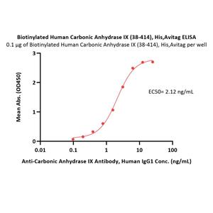 Biotinylated Human Carbonic Anhydrase IX / CA9 Protein
