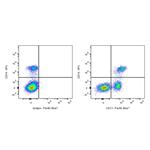 Pacific Blue Mouse Anti-Human CD13 Antibody (S-689-37) pictures