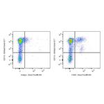 Human Anti-Mouse F4/80 Antibody (S-3458) pictures