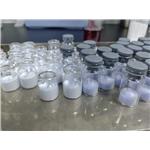 53-84-9 NAD+ (β-Nicotinamide Adenine Dinucleotide, Oxidized)