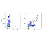 Mouse Anti-Human CD181 Antibody (S-3490) pictures