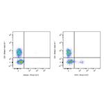 PerCP-Cy5.5 Mouse Anti-Human CD19 Antibody (S-R503-2) pictures