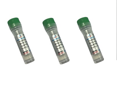 布雷默浪丹PT141/CAS:189691-06-3/大量现货刘经理13082558573