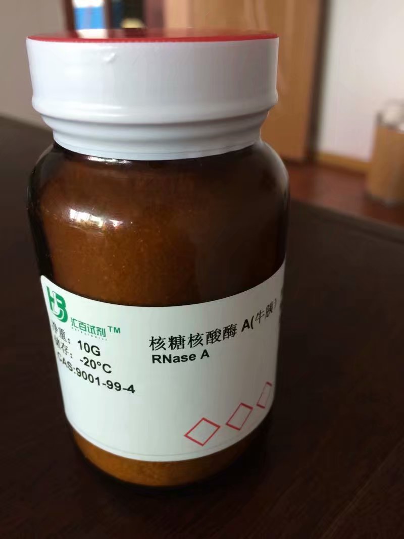 核糖核酸酶 A（≥50u/mg-80u/mg）