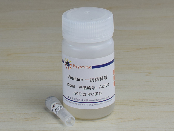 ANTI-MYC TAG MOUSE MONOCLONAL ANTIBODY