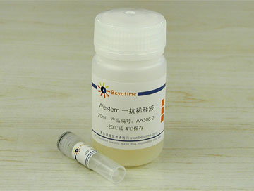 异硫氰酸荧光素标记ANTI-AIF抗体(标记抗体)