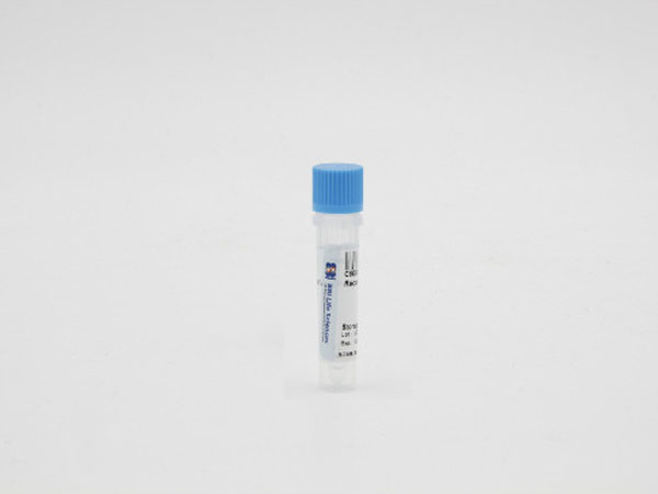 重组牛肠激酶轻链，酵母表