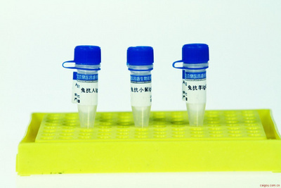 抗体亲和纯化洗脱