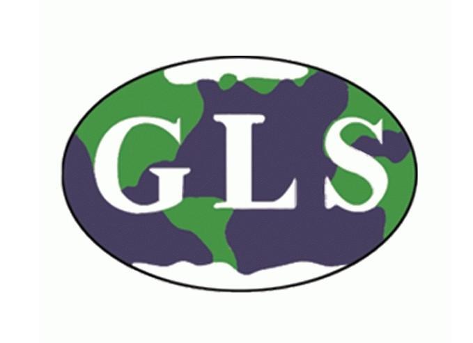 H-D-GLU(OME)-OME.HCL